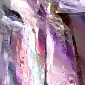 5 Mango Xoai Tuong Elephant Cuttings Scions for Grafting Tropical Fruit Trees - Image 3