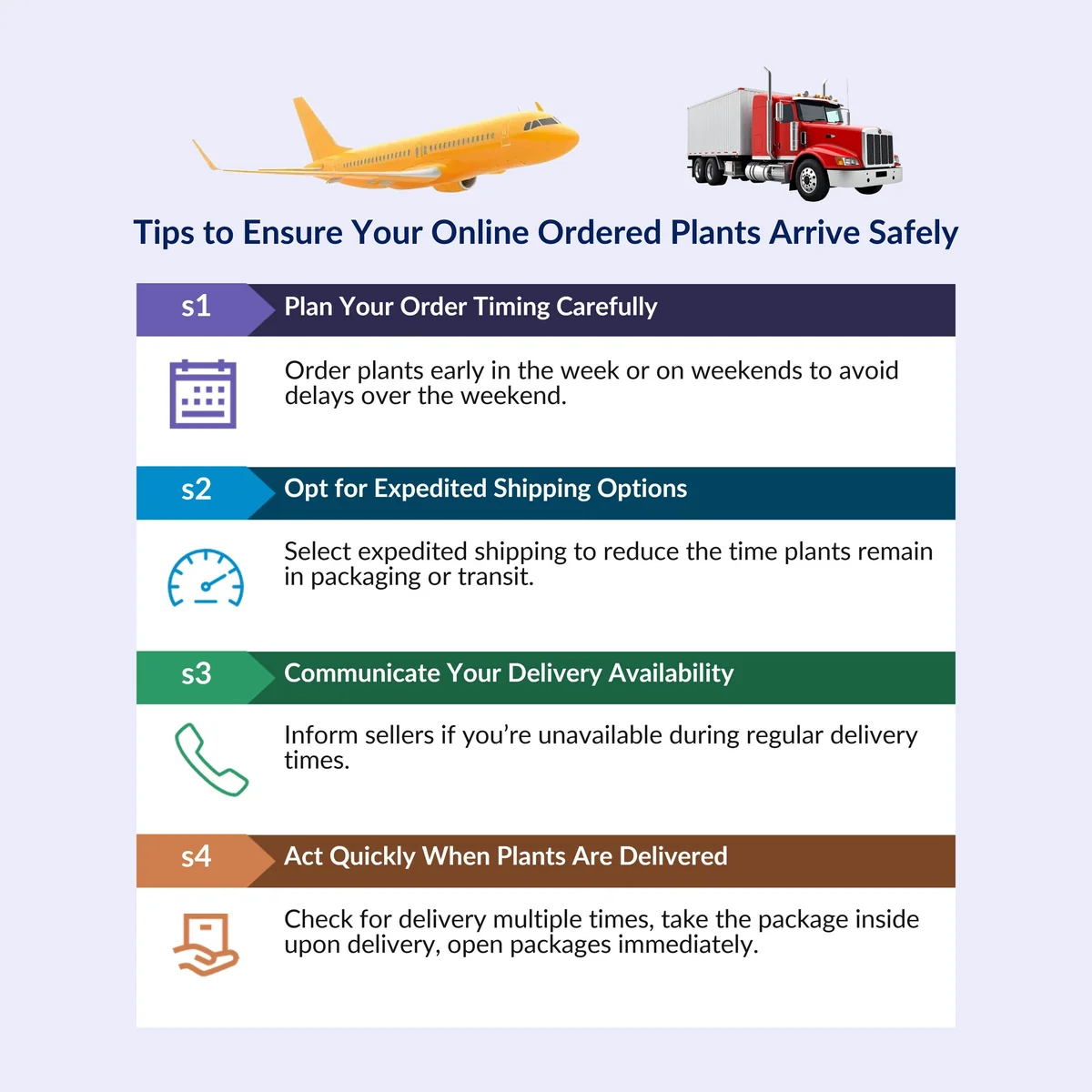 5-Pack African Violet Live Plants, Assorted Ruffled Flowers, 4-inch Pots, Indoor - Image 6