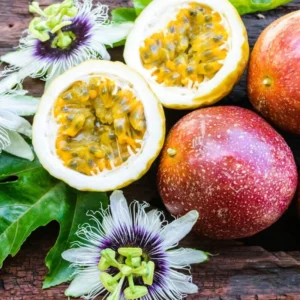 5 Panama Red Passion Fruit Starter Plants - Passiflora edulis Live Vine - Image 1