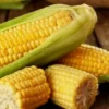 50 Golden Bantam Sweet Corn Seeds - Organic Heirloom Non-GMO for Planting - Image 1