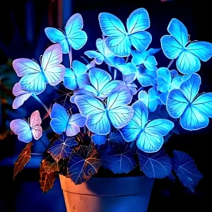 50 Heirloom Blue Butterfly Coleus Seeds – Rare Ornamental Foliage Plant - Image 3