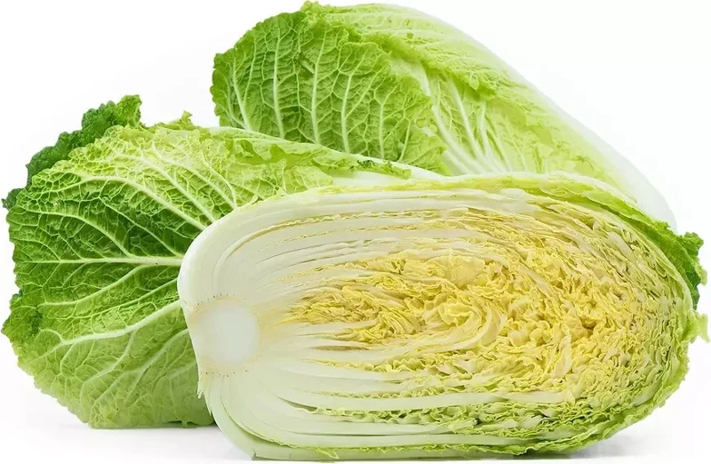 50+ Napa Michihili Cabbage Seeds - Non-GMO, USA Grown, Flavorful Vegetable - Image 1