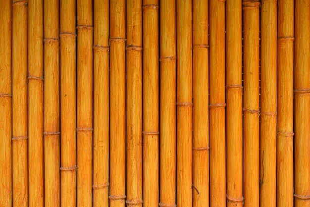 50 Orange Bamboo Seeds - Clumping Exotic Privacy Screen Garden - Perennial - Image 2