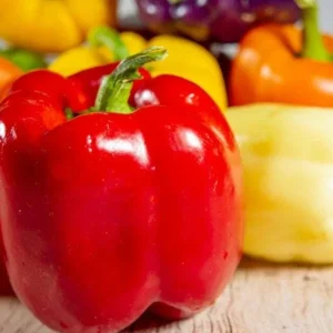 50+ Organic Bell Pepper Seeds Mix - Red, Yellow, Lilac, Orange for Garden - Image 1