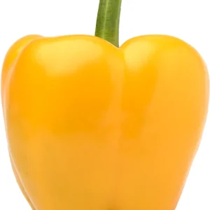 50+ Organic Bell Pepper Seeds Mix - Red, Yellow, Lilac, Orange for Garden - Image 4