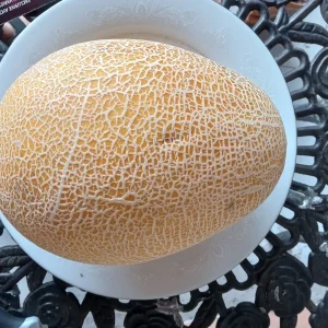 50 Organic Hami Melon Seeds - Rare, Sweet & Crunchy Fruit, 4-5 lbs - Image 2