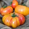 50+ Organic Rainbow Giant Beefsteak Tomato Seeds - Rare Indeterminate Vegetable - Image 1