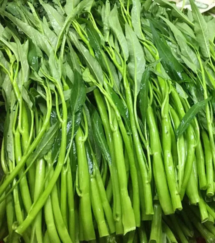 50+ Thai Water Spinach Seeds (Ong Choy / Kangkong) - Garden Vegetable - Image 1