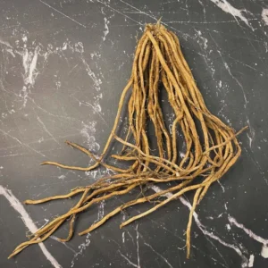 50 Viking KB3 Asparagus Bare Roots - Heirloom Vegetable Plant Indoor/Outdoor - Image 4