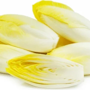 500+ Organic Belgian Endive Witloof Chicory Seeds - Non-GMO Vegetable - Image 1