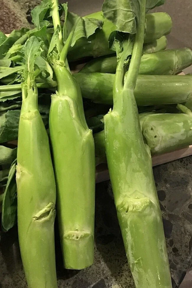 500+ Organic Chinese Big Stem Gai Lan Seeds - Non-GMO Vegetable Seeds - Image 1