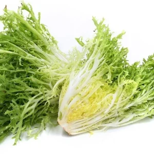 500+ Organic Frisee Endive Seeds - Heirloom Non-GMO Vegetable for Garden - Image 1