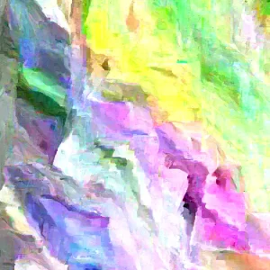 6 Culantro Live Plants - Eryngium Foetidum (Ngo Gai) - Outdoor Herb - Image 5