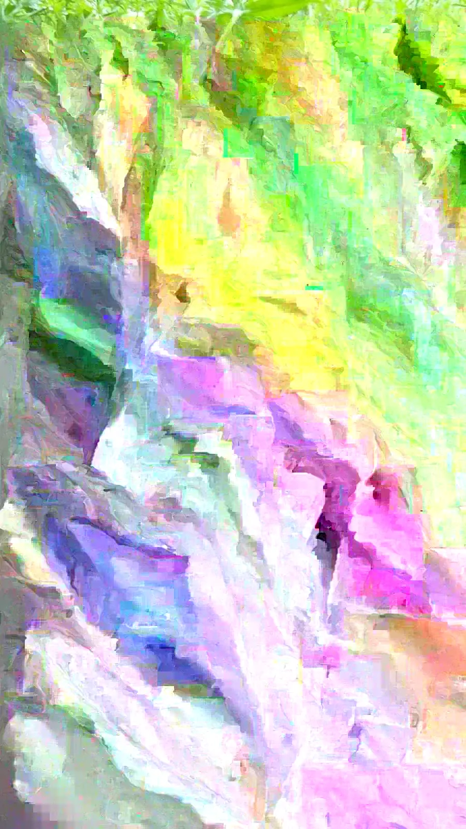 6 Culantro Live Plants - Eryngium Foetidum (Ngo Gai) - Outdoor Herb - Image 5