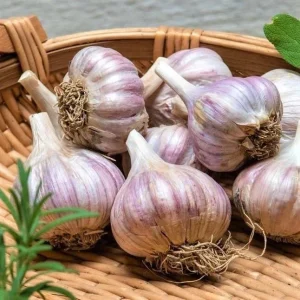 6 Organic Garlic Bulbs Multi-Size Mixed Varieties for Planting or Eating - Image 4