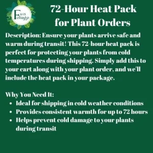 72 Hour Heat Pack for Winter Shipping - Premium Aluminum Foil Insulation - Image 2