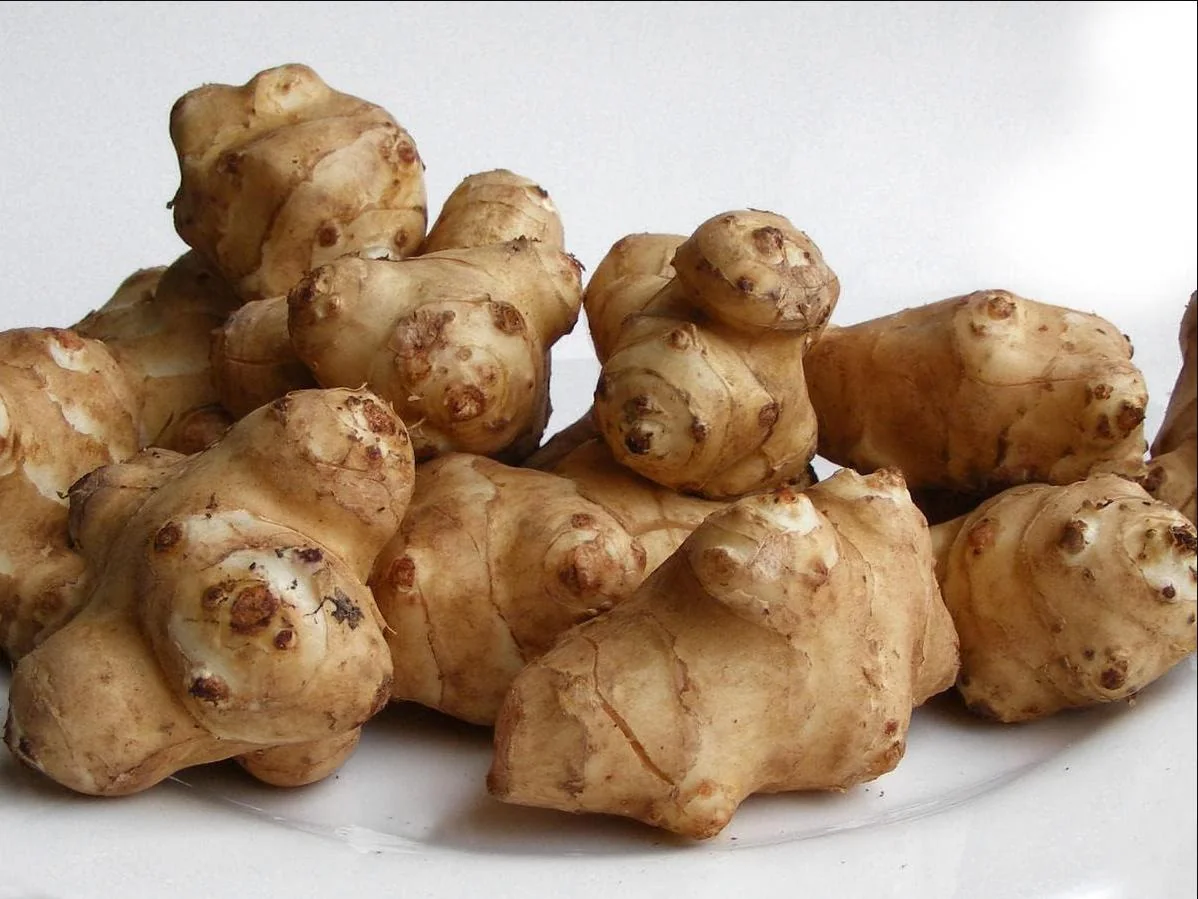 8oz Sunchoke Tubers for Planting - Fresh Jerusalem Artichoke Bulbs, Outdoor Garden - Image 3