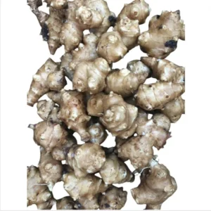 8oz Sunchoke Tubers for Planting - Fresh Jerusalem Artichoke Bulbs, Outdoor Garden - Image 9
