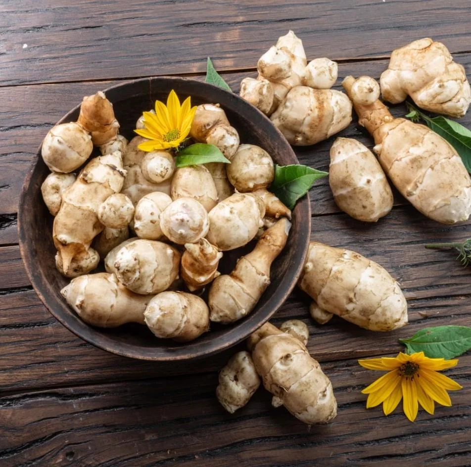8oz Sunchoke Tubers for Planting - Fresh Jerusalem Artichoke Bulbs, Outdoor Garden - Image 1