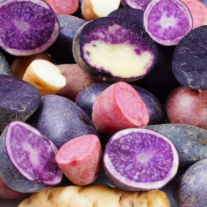 Organic Potato Seed Tubers Mix - Purple, Red, Yukon, Russet - 2 Pounds for Planting