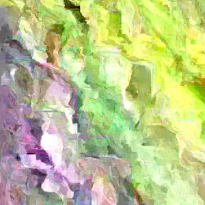 African Potato Mint Live Plant - 3 Plants in Cup, 5-8