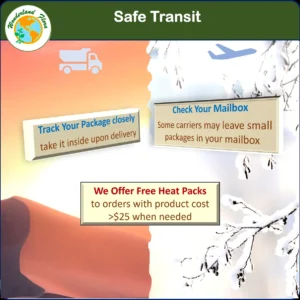 African Violet Live Plant – 2-Pack 4 inch Potted – 12 Colors – Indoor Houseplant - Image 7