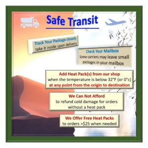 African Violet Live Plant - Blue Flowers - 4 inch Pot - Indoor Saintpaulia - Image 2