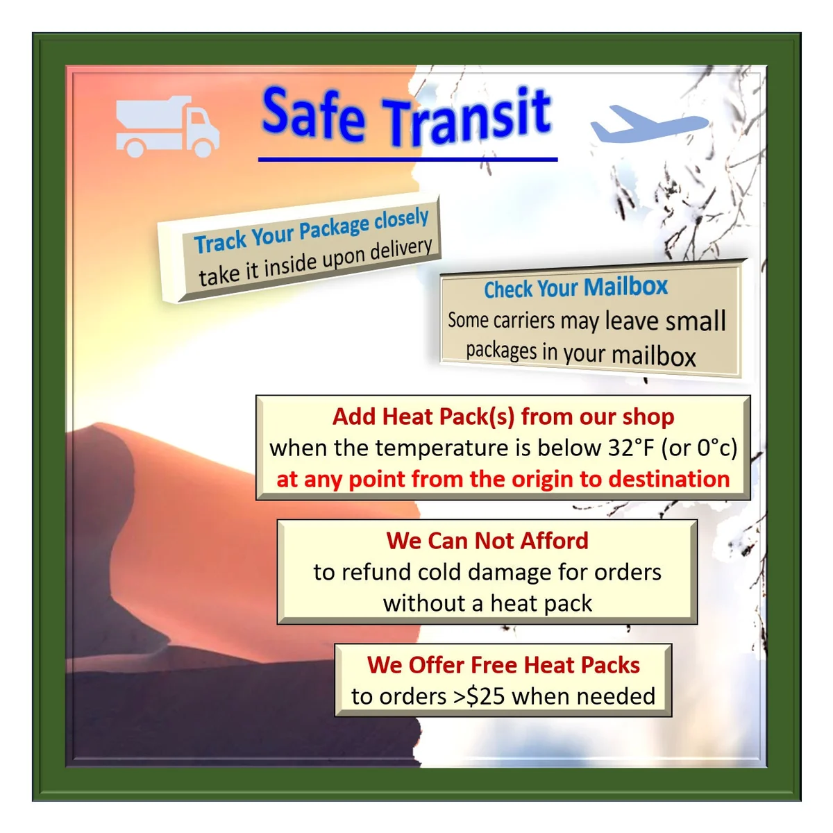 African Violet Live Plant - Blue Flowers - 4 inch Pot - Indoor Saintpaulia - Image 2