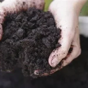 All Natural General Purpose Potting Soil Mix - 8 Quart for Most Plants - Image 2