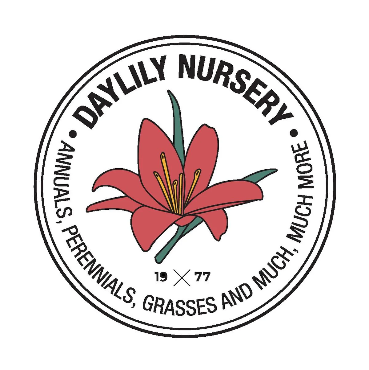 Amaryllis Gift Growing Kit - Bulb Size 26-28 - Ceramic Pot - Indoor Plant - Image 4