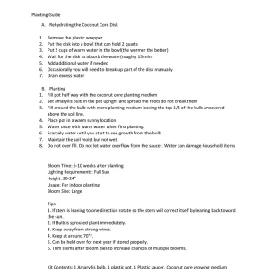 Amaryllis Kit Double King Red - Indoor Flowering Bulb Kit - 20-24 Inches Tall - Image 4