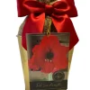 Amaryllis Red Lion Bulb Growing Kit - Gold Tin Pot, Bulb Size 14-16, 20-24" Tall - Image 1
