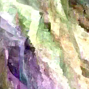 Annona Muricata Graviola Soursop Guanabana Live Plant Starter - 5-9 inches Tall Tropical Tree - Image 2