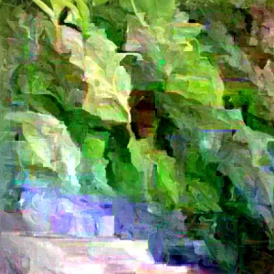 Annona Muricata Mountain Soursop Live Plant – 12-20 Inch Tropical Fruit Tree - Image 2