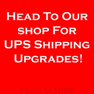 Anthurium Carlablackiae x Carla OG4 Live Plant – Rare Sprouted Seedling – 1 Leaf - Image 4