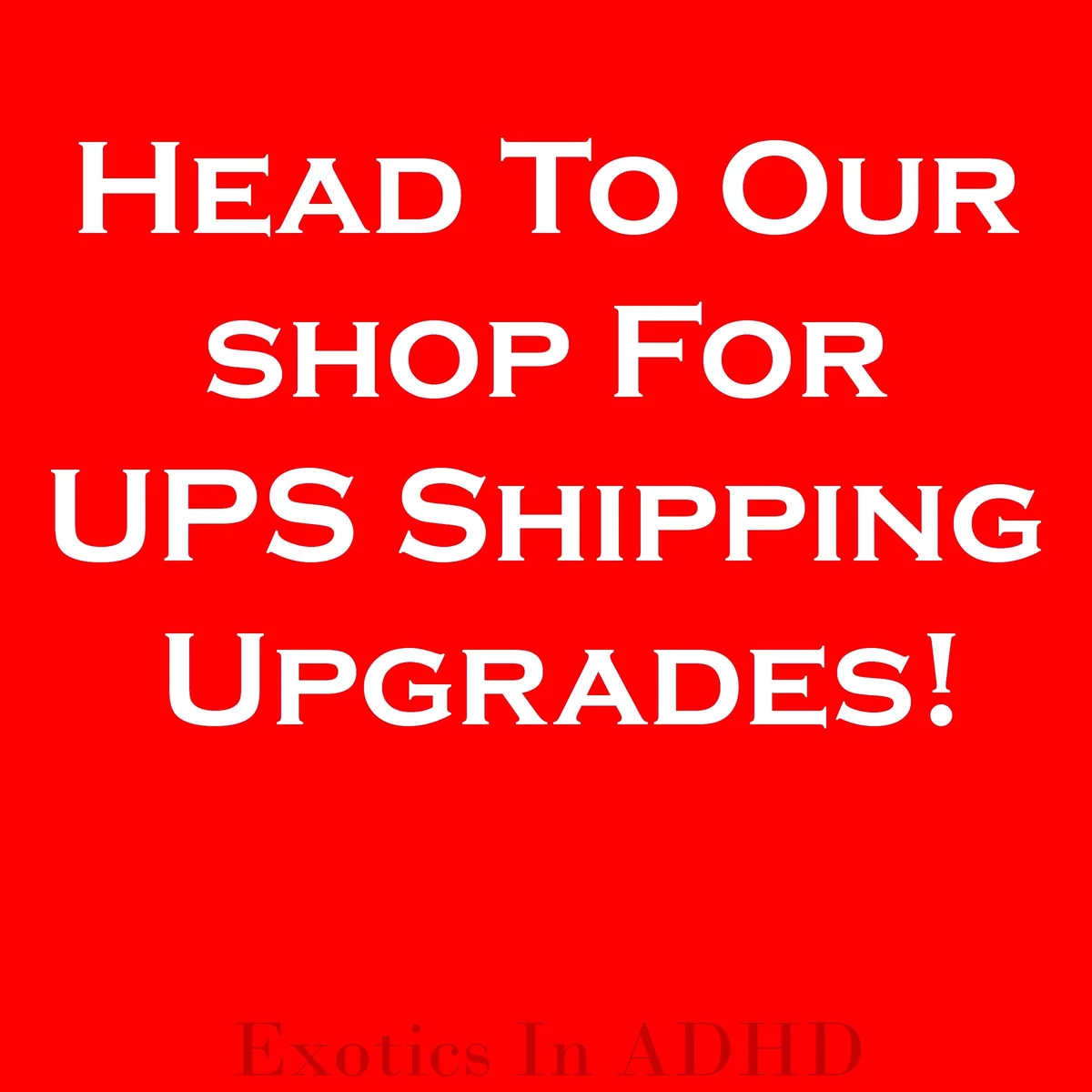 Anthurium Carlablackiae x Carla OG4 Live Plant – Rare Sprouted Seedling – 1 Leaf - Image 4