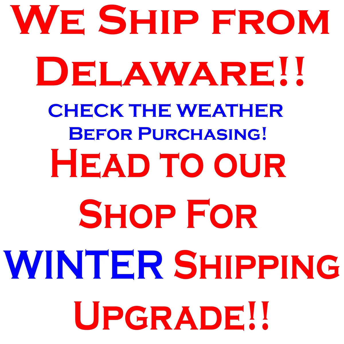 Anthurium Carlablackiae x Carla OG4 Live Plant – Rare Sprouted Seedling – 1 Leaf - Image 5