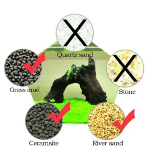 Aquatic Leaf Grass Seeds - Small Leaf Carpet Plant for Aquarium, 10g - Image 8