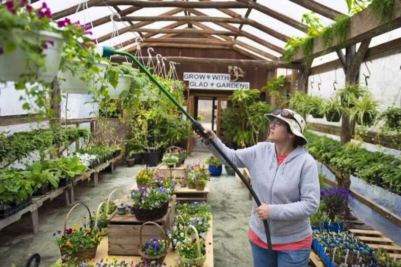 garden plant nursery - about us