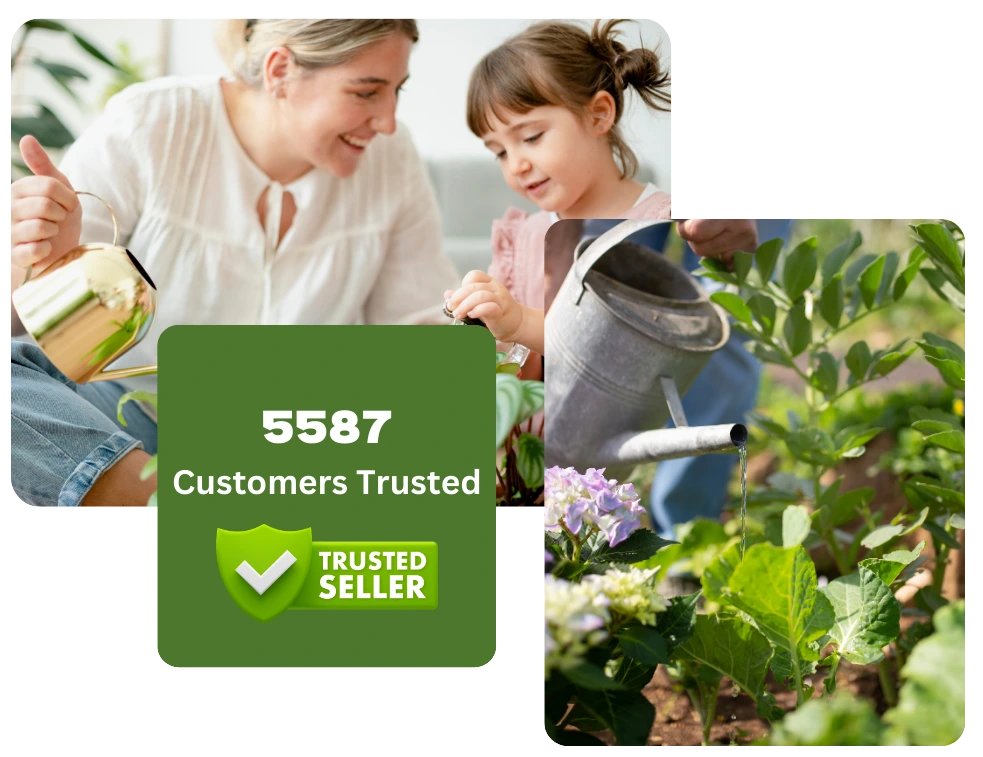 banner-garden-plant-nursery