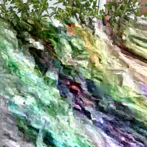 Barbados Cherry Live Plant - 3ft Tall Fruit Tree, Outdoor, Red Fruit - Image 4