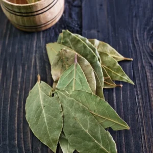 Bay Leaf Tree Live Plant 4-5 ft Tall - Culinary Herb, Outdoor - Image 1