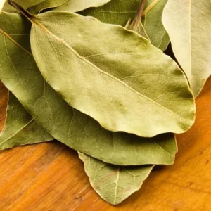 Bay Leaf Tree Live Plant - Laurus Nobilis Sweet Bay, 7-10 Inches Tall in 4 Inch Pot for Indoor/Outdoor - Image 4