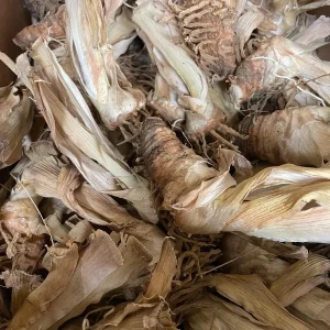 Bearded Iris Reblooming Bareroot Live Plant - Purple Flowers - 2 Count - Zone 3-9 - Image 4