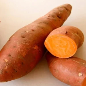 Beauregard Sweet Potato Plants - 5 Organic Slips for Growing, Orange Flesh, Full Sun - Image 2