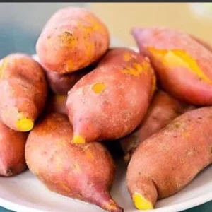 Beauregard Sweet Potato Plants - 5 Organic Slips for Growing, Orange Flesh, Full Sun - Image 6