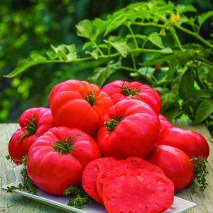Beefsteak Tomato Seeds - Heirloom, Non-GMO Vegetable Seeds for Fresh Eating - Image 1