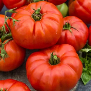 Beefsteak Tomato Seeds - Heirloom, Non-GMO Vegetable Seeds for Fresh Eating - Image 2