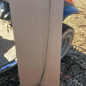 Belle of Georgia Peach Tree Bareroot Live Plant - 2-3 ft Tall - Image 4