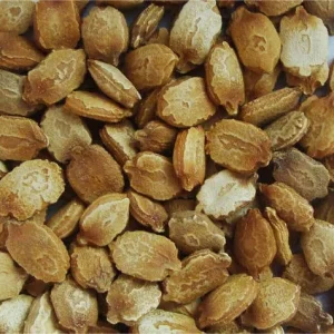 Bitter Gourd Seeds F1 Non-GMO - Vietnam Long Fruit Bitter Melon Seeds - Image 3